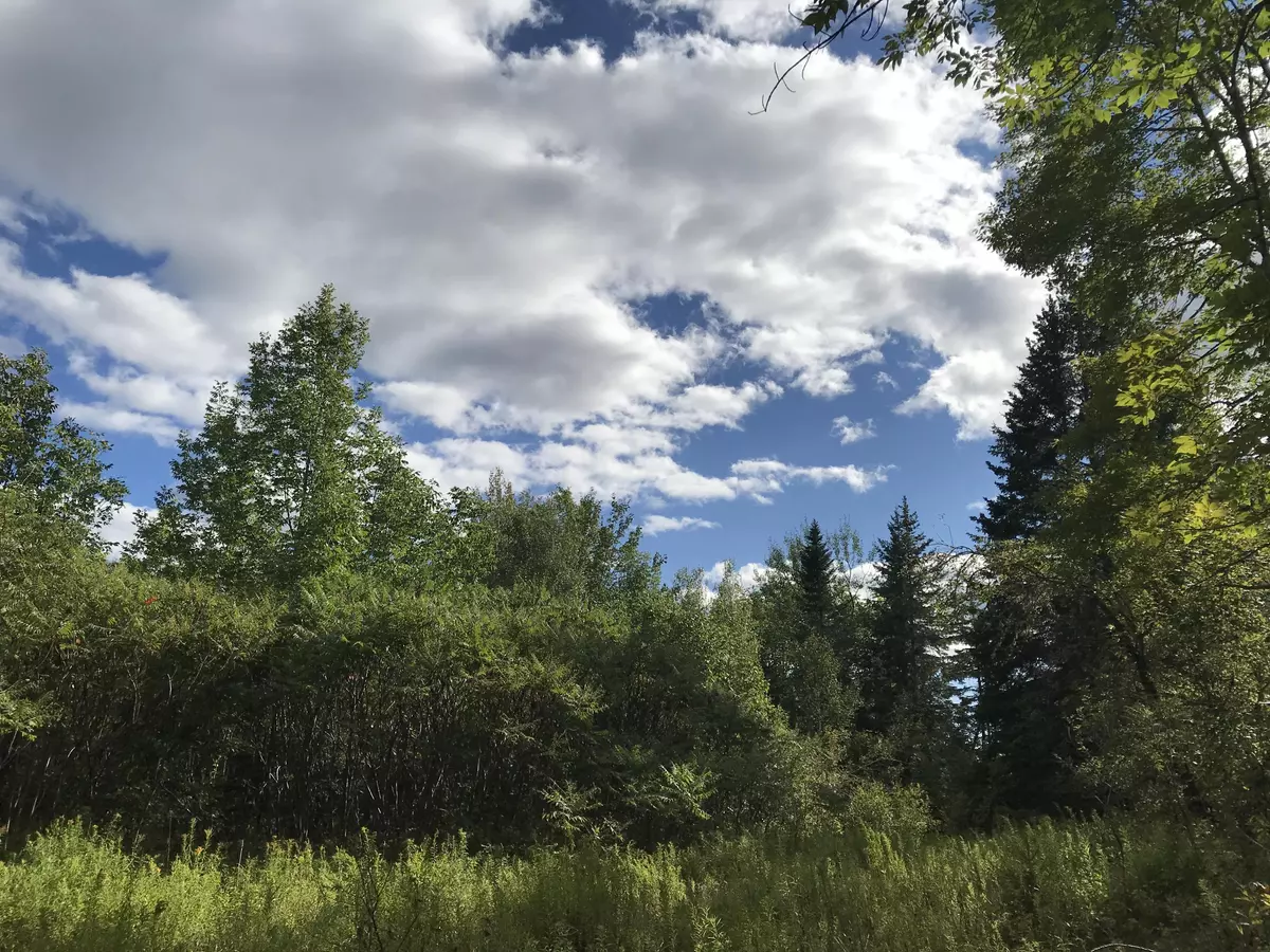 Robbinston, ME 04671,Lots 15 16 Ridge RD