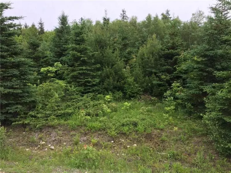 Ellsworth, ME 04605,83 Woodfield WAY