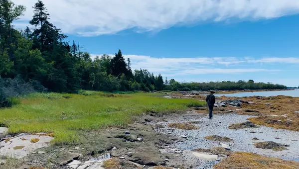 Lot 96 Maker's Point RD, Jonesport, ME 04649