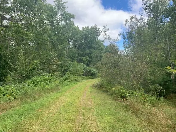 Liberty, ME 04949,Lot 4 Trillium WAY