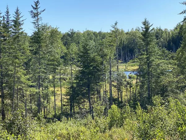 Lot 18 Cookson RD, Greenfield Twp, ME 04418