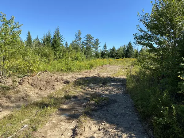 Greenfield Twp, ME 04418,Lot 18 Cookson RD