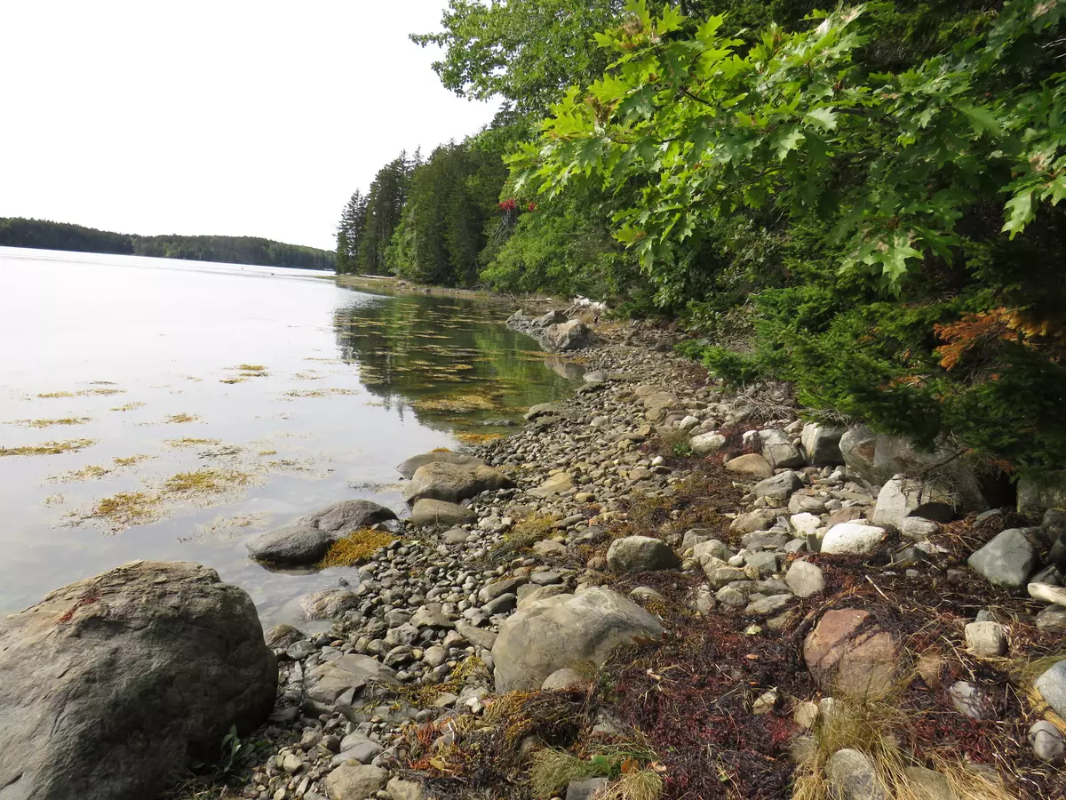 Saint George, ME 04860,144 Treasure Point RD