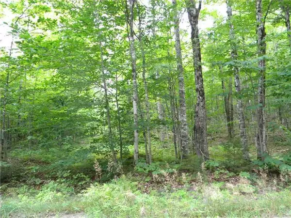 0 Downs RD, Sebec, ME 04426