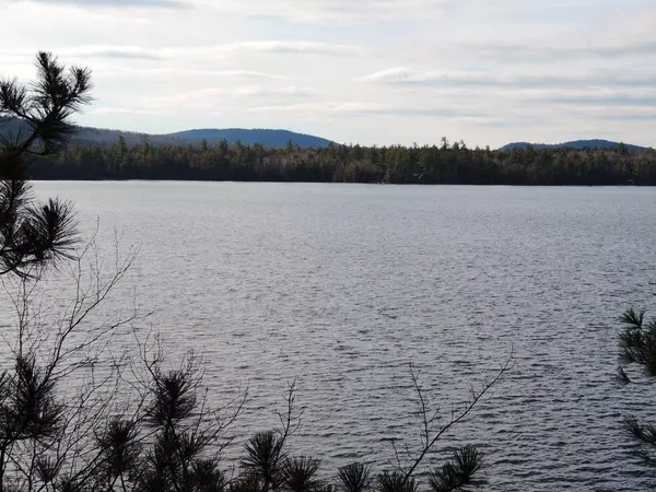 Bowerbank, ME 04420,46 Grapevine Brook RD