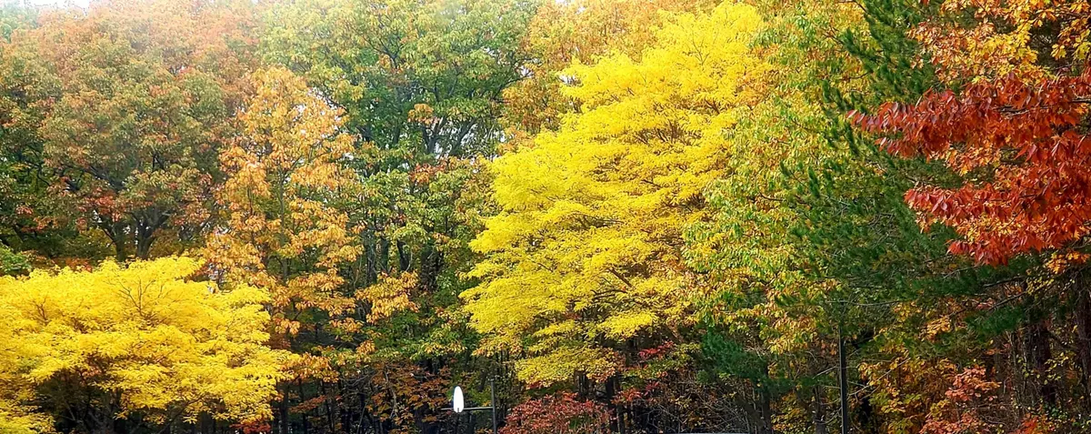 Old Orchard Beach, ME 04064,17 Ross RD