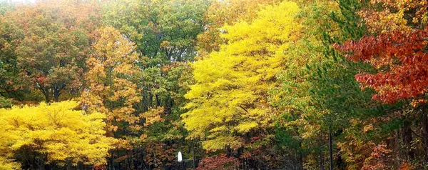 17 Ross RD, Old Orchard Beach, ME 04064