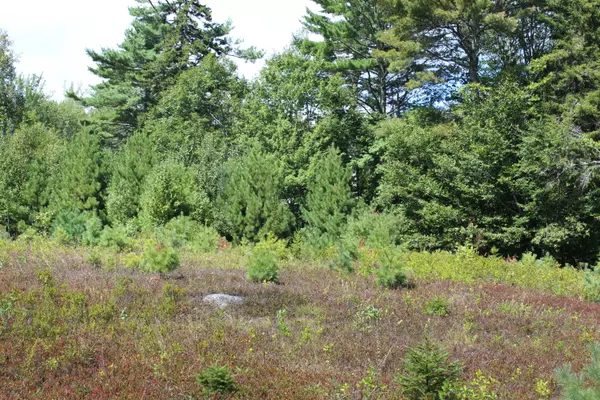 Sedgwick, ME 04676,00 North Sedgwick RD