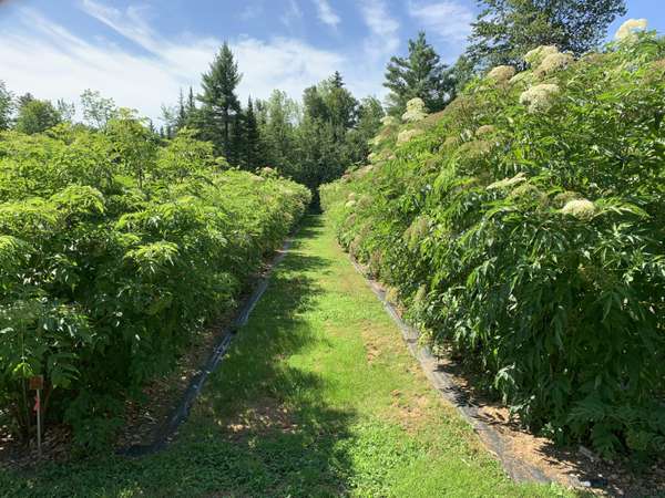 194 Bartlett RD, Belgrade, ME 04917