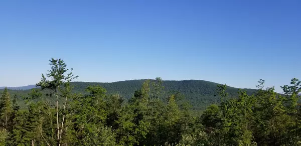 Lot B Paris RD, Bethel, ME 04217