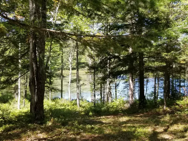 Greenwood, ME 04255,R03 Lot 1 Furlong Pond LN