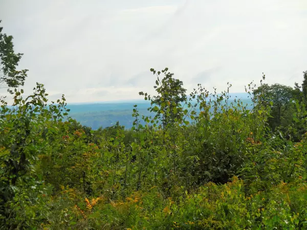 Saint Albans, ME 04971,L 23-1 Bigelow Road