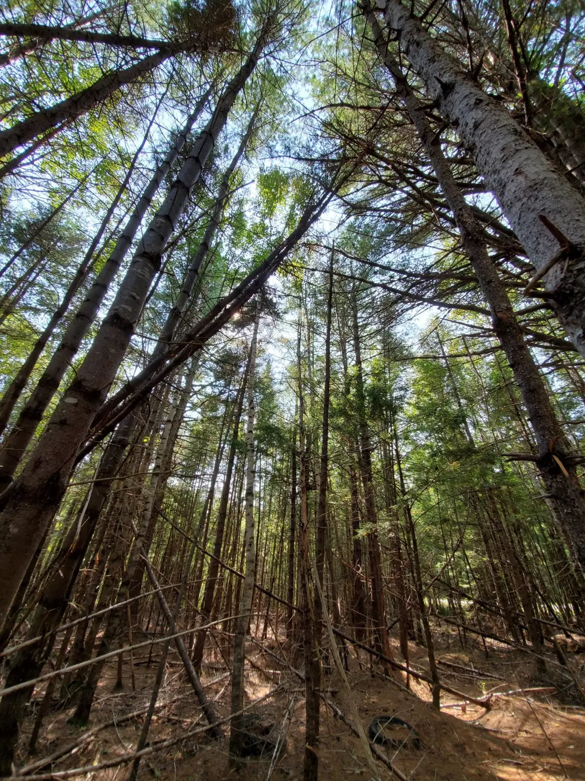 Passadumkeag, ME 04475,0 Caribou RD