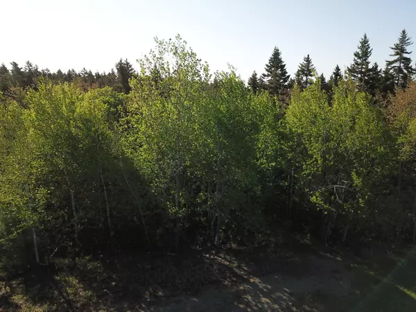 Stockton Springs, ME 04981,221 Church ST