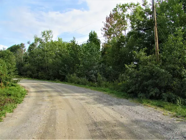 Newport, ME 04953,43 Grand View DR