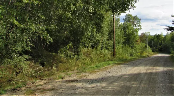 Newport, ME 04953,50 Grand View DR