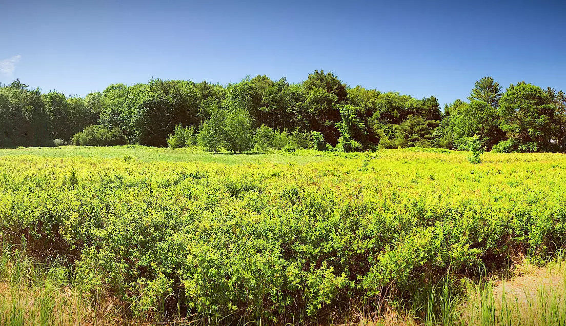 Saco, ME 04072,Lot 3a Portland RD