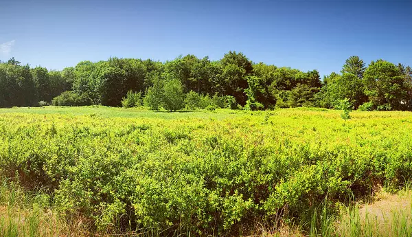 Lot 3a Portland RD, Saco, ME 04072