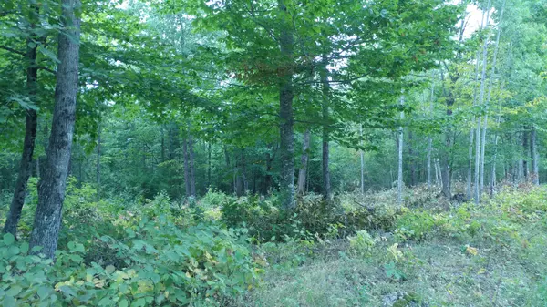 Orono, ME 04412,0 Elliots Landing Road