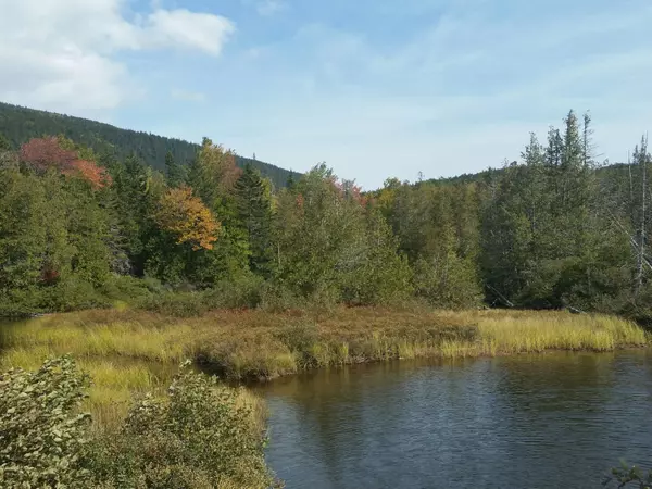 Sandy River Plt, ME 04970,5 Beech Hill Rd.