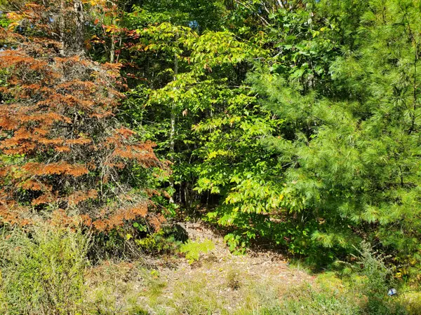 Norridgewock, ME 04957,661 Mercer RD