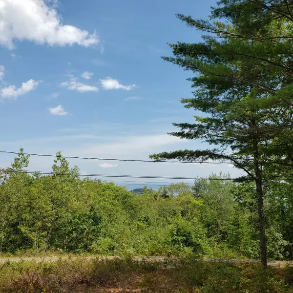 Rockport, ME 04856,20 Wildwood LN