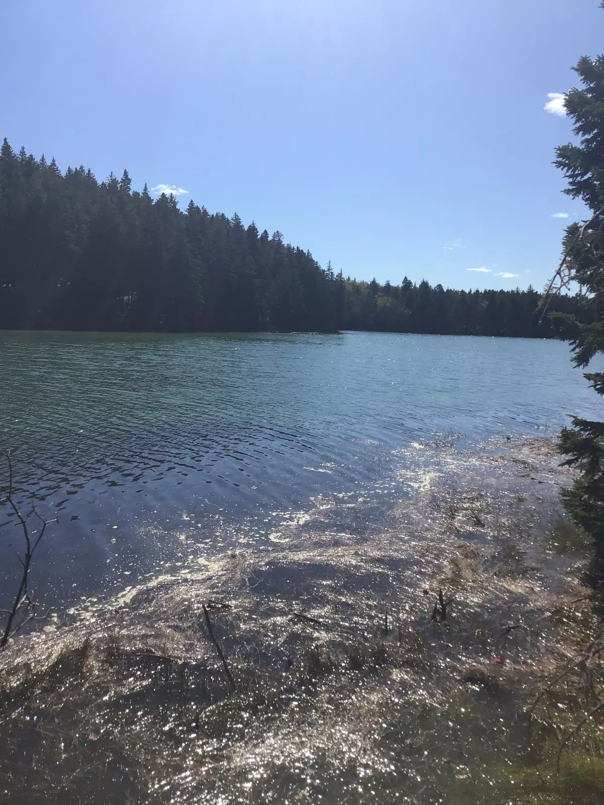 Milbridge, ME 04658,Lot 2B Stoehrs Way