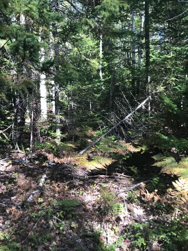 Milbridge, ME 04658,Lot 2B Stoehrs Way