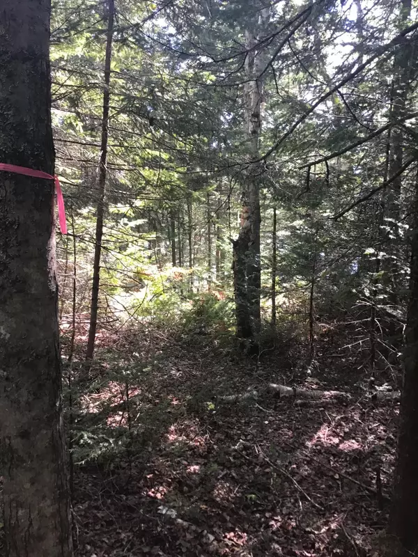 Milbridge, ME 04658,Lot 2B Stoehrs Way