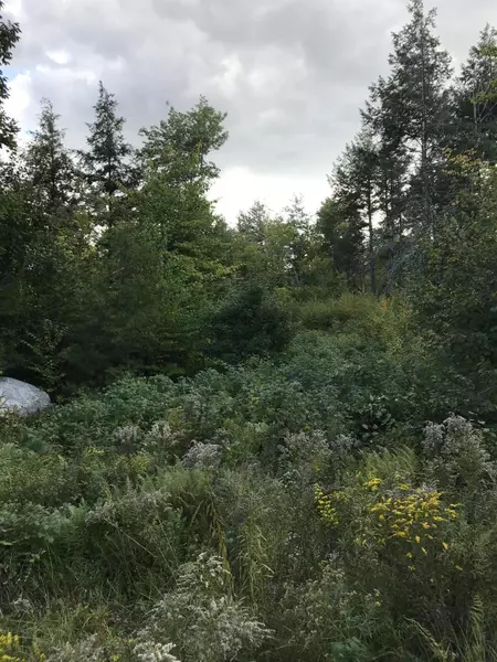 23-5 Ward RD, Sebago, ME 04029