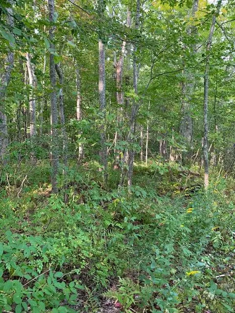 Lincolnville, ME 04849,0 Youngtown RD