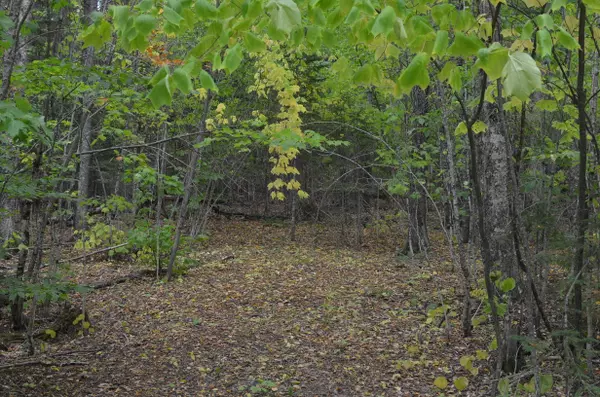 Greenville, ME 04441,27 Loon Landing RD