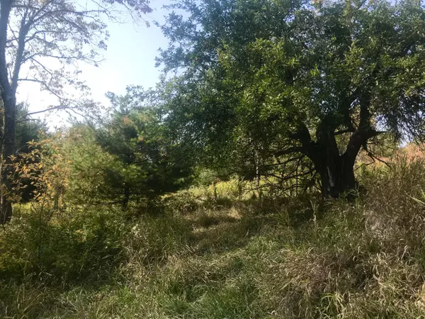 Mariaville, ME 04605,3140 Mariaville RD