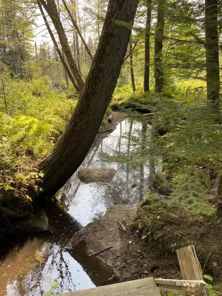 006-082 Lomie Rivers RD, Jay, ME 04239