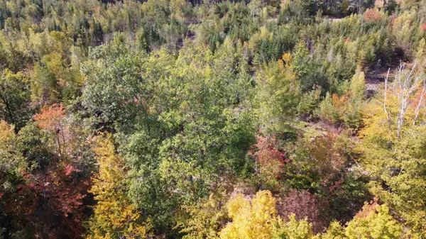 Buckfield, ME 04220,LOT 12.1 RailRoadBed RD