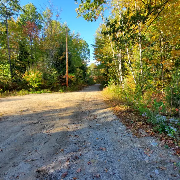 Paris, ME 04281,0 Brook Road Lot# 41.1 RD