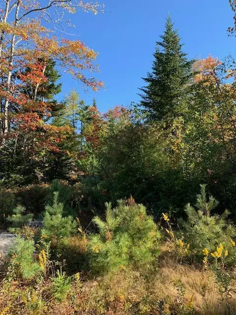 Saint George, ME 04859,0 Atlantic Quarry RD