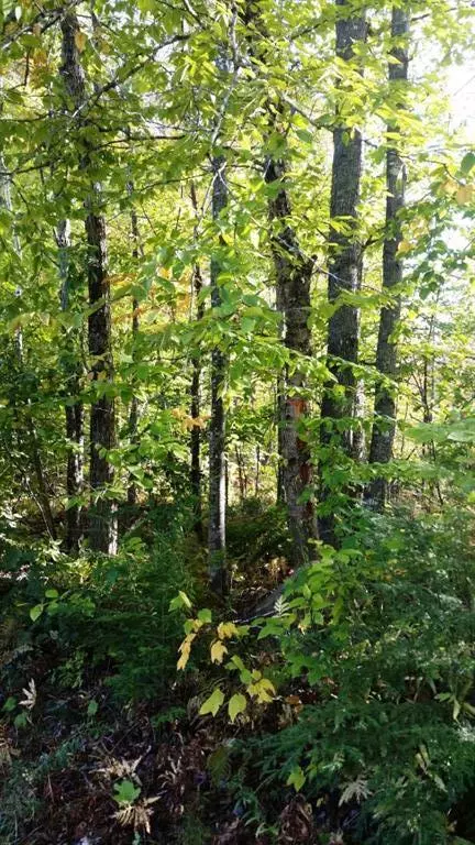 9 Millay Hill RD, New Portland, ME 04961