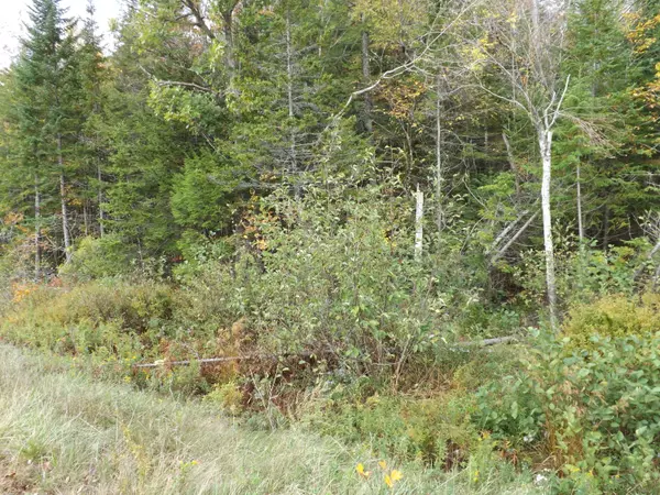 Liberty, ME 04949,00 Belfast/Augusta RD