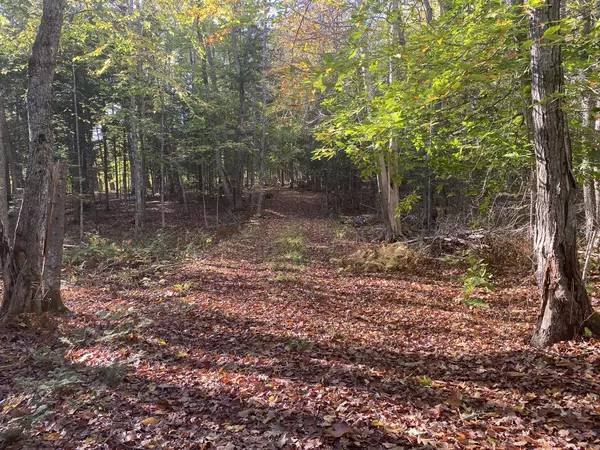 Mattawamkeag, ME 04459,MU14 Lot 6 Medway RD