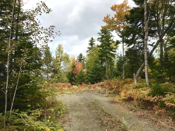 Sandy River Plt, ME 04970,13 Mill Brook RD