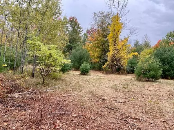 Limerick, ME 04048,42 Staples Hill