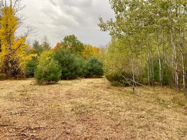 Limerick, ME 04048,42 Staples Hill