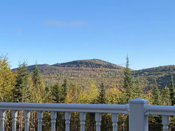 Bethel, ME 04217,36 Highland Avenue