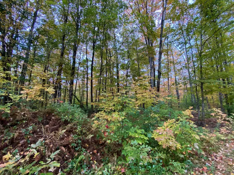 Lot 58-00 Stiles Road, Harmony, ME 04942