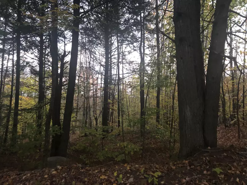 239 Ames RD, Cornville, ME 04976