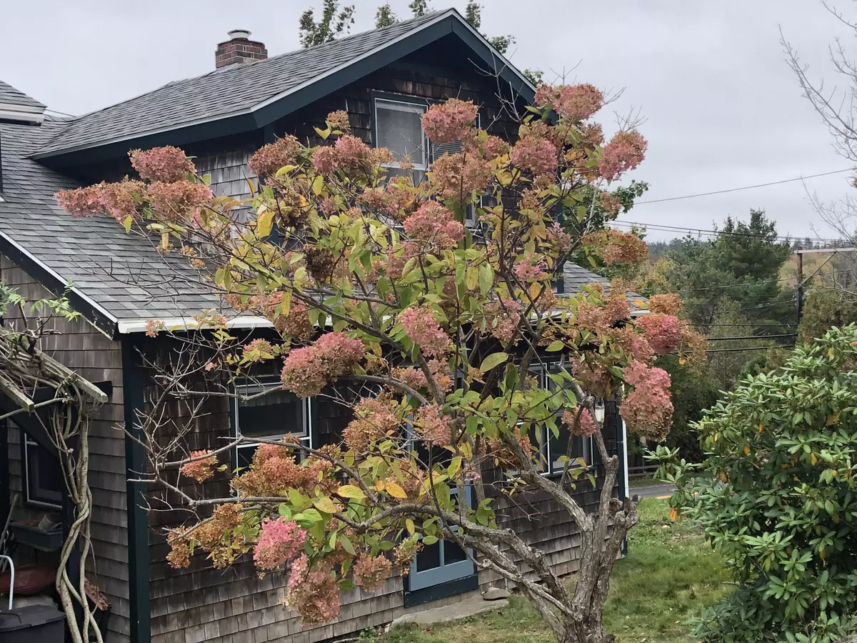 Southwest Harbor, ME 04679,5 Wood ST