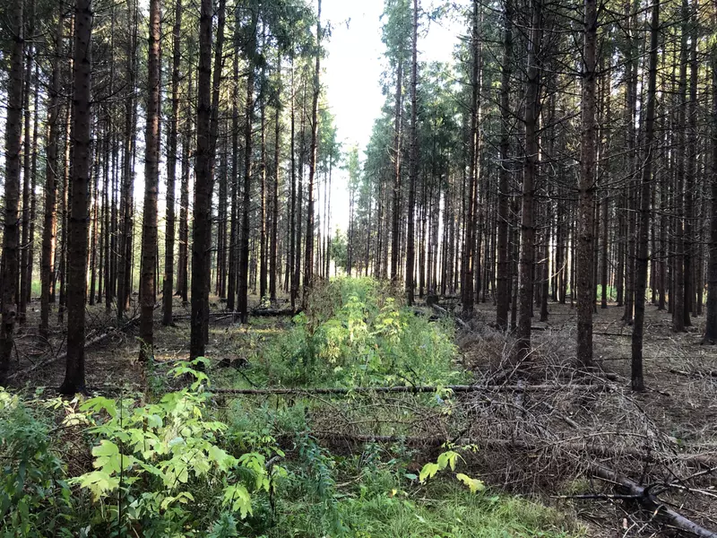 296 Old Washburn RD, Caribou, ME 04736