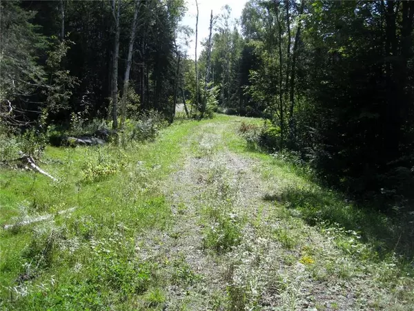 Sandy River Plt, ME 04970,16 Mill Brook RD