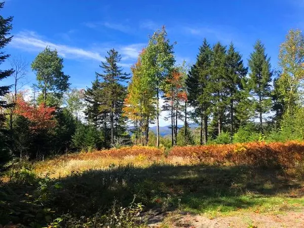 Sandy River Plt, ME 04970,16 Mill Brook RD